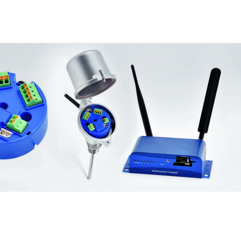 ATEX Temperature Sensor